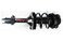 FCS 1331751R Suspension Strut and Coil Spring Assembly