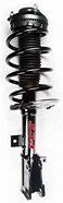 Complete Strut Assembly