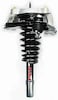 Complete Strut Assembly