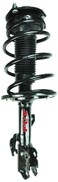 FCS 1332367L Complete Strut Assembly
