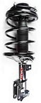 Complete Strut Assembly