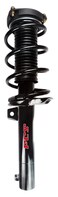 FCS 1335576 Complete Strut Assembly