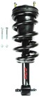 FCS 1336333 Complete Strut Assembly