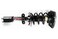 Complete Strut Assembly