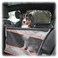 K&amp;H Pet Products Buckle N' Go Dog Car Seat for Large Dogs, Waterproof Fabric, Breathable Mesh Sides, Adjustable Seat Belt Leash, Carseat for Medium to Large Pets, Car Seat Cover - 21 X 19 X 19in
