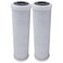2 Pack Flow-Pur 8 Carbon Block Filter Compatible Cartridge WCBCS-975-RV by American Water Solutions