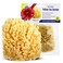 Baby Buddy Natural Yellow Sea Sponge, Newborn Bath Time Essential, Soft and Gentle for Tender Skin, Hypoallergenic and Biodegradable, 1 Pack