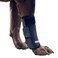 Labra Dog Canine Front Leg Compression Brace Wrap Sleeve, Protects Wounds, Braces, Heals, and Prevents Injuries and Sprains, Helps with Loss of Stability Caused by Arthritis - Large/Extra Large
