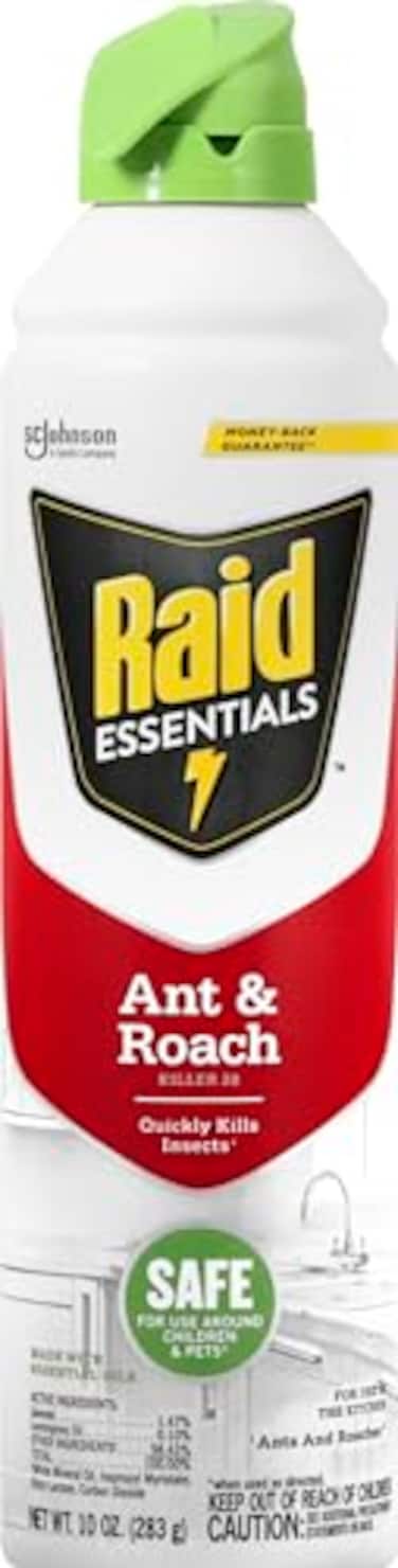 Raid Essentials Ant &amp; Roach Killer Aerosol Spray, Child &amp; Pet Safe, Kills Insects Quickly, for Indoor Use, 10 oz
