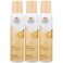 Citrus Magic Natural Odor Eliminator Air Freshener Spray for Home, Orange Blast, 3-Ounce, Pack of 3
