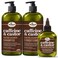 Difeel Caffeine &amp; Castor Shampoo, Conditioner and Hair Growth Oil Set - with Shampoo, Conditioner, and Hair Oil