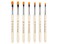 Aoshang 7Pcs Uv Gel Nail Brush, Poly Extension Gel Brush, Nail Art Tips Builder Painting Pen Set(No.2/4/6/8/10/12/14)