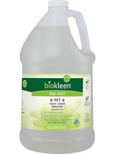 Biokleen Bac-Out Pet Stain Remover - Enzymatic, Natural, Plant-Based Destroys Stains &amp; Odors, Safe for Surfaces &amp; Fabrics, Carpet Cleaner - Eco-Friendly, Lavender Lime Scent, 1 Gallon