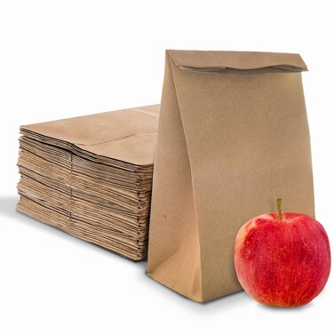 Stock Your Home 4 Lb Kraft Brown Paper Lunch Bags (100 Count) - Bulk Disposable Lunch Sacks, Small Size Blank Bag for Kids, Good for a Snack, Sandwich, Grocery Food, and Arts &amp; Crafts Projects
