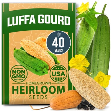 HOME GROWN Luffa Seeds - (Bulk Pack) 40 Non-GMO, Heirloom Loofah Seeds for Planting, USA Sourced, Great for Sponges or Edible Vegetable (Luffa aegyptiaca)