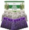 Cedar Chips and Lavender Sachets (20 Pack) - Stop Clothes Damage - Cedar and Lavendar Home Fragrance Sachets for Drawers and Closets