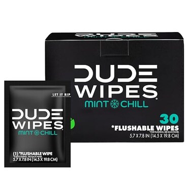 DUDE Wipes - On-The-Go Flushable Wipes - 1 Pack, 30 Wipes - Mint Chill Extra-Large Individually Wrapped Adult Wet Wipes - Eucalyptus &amp; Tea Tree Oil - Septic and Sewer Safe