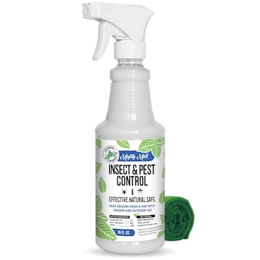 Mighty Mint 16 oz Peppermint Oil Insect &amp; Pest Spray - for Spiders, Ants, and More