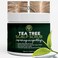 Tea Tree Scalp Scrub   Antifungal Itchy Scalp Treatment with Tea Tree Oil, Quartz Powder &amp; Sea Salt   Gently Exfoliates, Relieves Dryness, Fights Dandruff, Promotes Healthy Hair Growth &amp; Scalp Relief