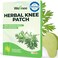 Wellnee Original Herbal Knee Patch - Wellknee Plaster for Knee Support &amp; Muscle Pain - Maximum Strength for a Temporary Relief - Adhesive Heat Patches Made with Natural Herbs for Wellness (10 Pads)
