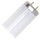 G E Lighting 22745 0 GE 15W Fluo LGT Bulb