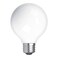 G E LIGHTING 24954 4.5W LED G25 Bulb (2 Pack), White, 22 Piece