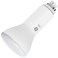 Current Professional Lighting F25T8XLSPX65ECO Linear Fluorescent, T8