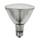 GE 29489 - CMH20PAR30/FL25 20 watt Metal Halide Light Bulb