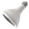 Current Professional Lighting F21W/T5/865/ECO Linear Fluorescent, T5