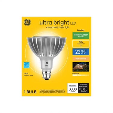 LED PAR38 E26 WW 250W