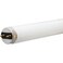 GE 48" Closet &amp; Laundry F32 T8 Sunshine Cool White Fluorescent Dbl Pack Light Bulbs 2900 Lumens