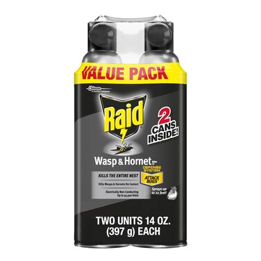 Raid Wasp &amp; Hornet Killer Spray, Bug Killer Kills the Entire Nest, 14 Oz, 2 Count
