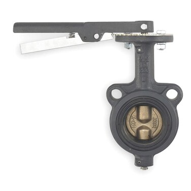Butterfly Valve, Wafer, 2 1/2 In, CI, EPDM