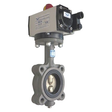 Butterfly Valve,Dbl Acting,Cast Iron,2In