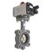 Butterfly Valve,Dbl Acting,Cast Iron,2In