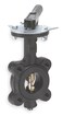 Butterfly Valve, Lug, 6 In, CI, EPDM Liner