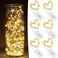 CYLAPEX 6 Pack Warm White Fairy Lights String Battery Operated Fairy Lights Firefly Lights LED Starry String Lights 3.3ft 20 LEDs Silvery Copper Wire for Christmas DIY Decoration Costume Wedding Party