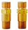 Shark 12449 0.25-Inch NPT Reverse Flow Check Valve, Pack-2