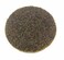 Shark Shark 640TB 4-Inch Star-Brite Surface Prep Discs, Brown, Pack-25, Grit-Coarse