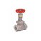 Globe Valve Class 150 1-1/2 in.