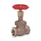 Globe Valve, Class 200, 1-1/4 In.
