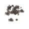 EXCEART 10pcs Rivets Ghost Studs Skull Head Studs Spikes Metal Screw Back Leather Punk Rivetsfor DIY Craft Leather Supplies Purse Clothes Skull Rivets Spike Decor Skull Rapid Rivets (Bronze)