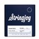 Stringjoy BAL10 Signatures Nickel Wound Guitar Strings, 10-48 Balanced Light Gauge, Electric Guitar Strings for Enhanced Tone, Guitar Strings Electric 6 String Set