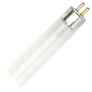 GE 15987 6-Pack 8-watt 12-Inch T5 Luz fluorescente foco, F8T5, 8 watts