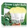 Wiyifada 3 Pack Full Spectrum Grow Light Bulbs,A19 Grow Lights for Indoor Plants,Dimmable E26 9W Grow Bulb Replace up to 100W,Plant Lights for Indoor Growing,Flowers,Indoor Greenhouse,Indore