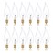 Simba Lighting Candelabra Flame Tip Clear CA10 25W E12 Base (12 Pack) Decorative Incandescent Light Bulbs 120V for Chandeliers, Ceiling Fan Lights, Pendants, Wall Sconces, Dimmable, Warm White 2700K