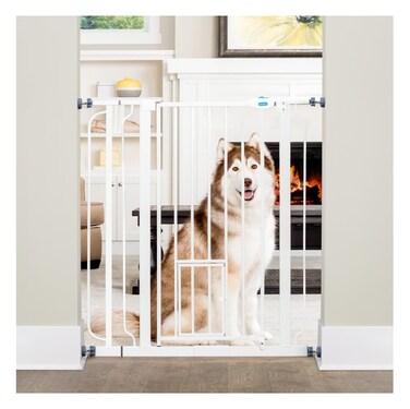 Carlson Extra Tall Walk Through Pet Gate with Small Pet Door, Includes 4-Inch Extension Kit, 4 Pack Pressure Mount Kit and 4 Pack Wall Mount Kit, 36 x 36.5, White