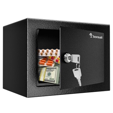 Bonsaii Safe Box with Key Lock, Steel Construction Money Safe Box, 0.22 Cubic Feet Small Hidden Safe Box for Home, Security Cabinet Safe Lock Box with Keys for Cash Jewelry, 6.69 x 9.06 x 6.69 Inches