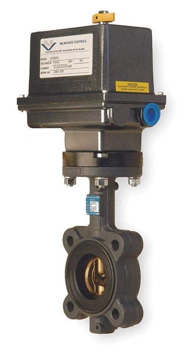 Butterfly Valve, Electronic, 3 In