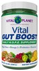 Vital Planet - Vital Gut Boost Powder by Brenda Watson, PBS Gut Check Hope Supplement with Fiber 35, Omega 3 Oil, Probiotics, and Digestive Enzymes, 8.1oz, 230 Grams, 30 Servings